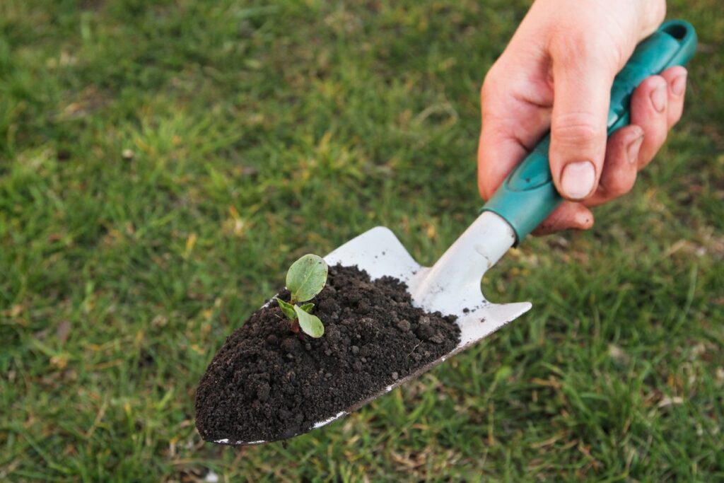 gardening tool