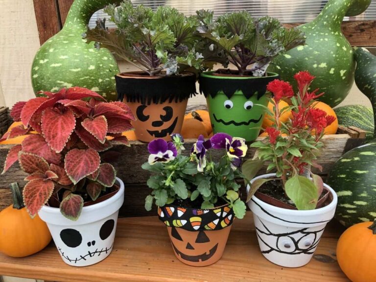 Attractive and Scary Halloween Pumpkin Flowerpot Design Ideas