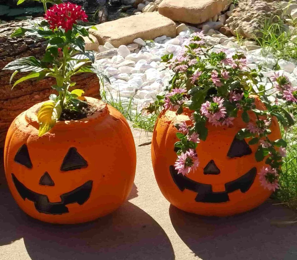 Halloween pumpkin flower pot 