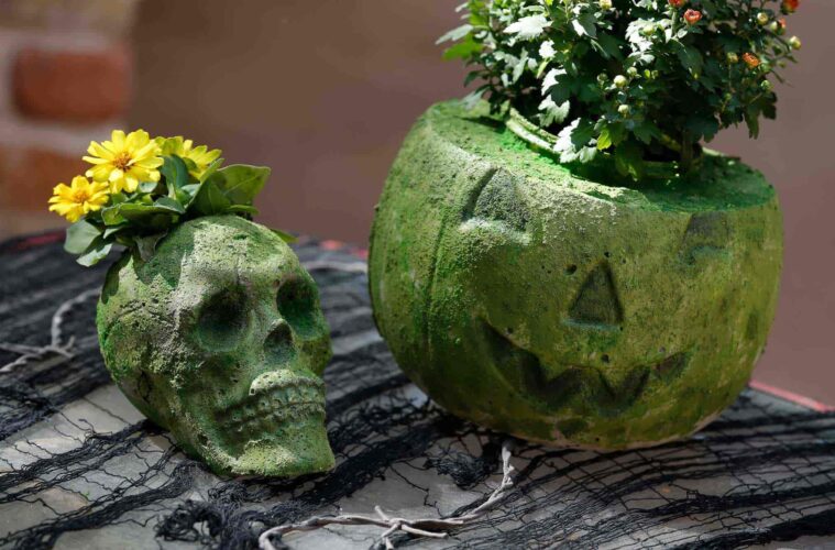 Halloween pumpkin flower pot