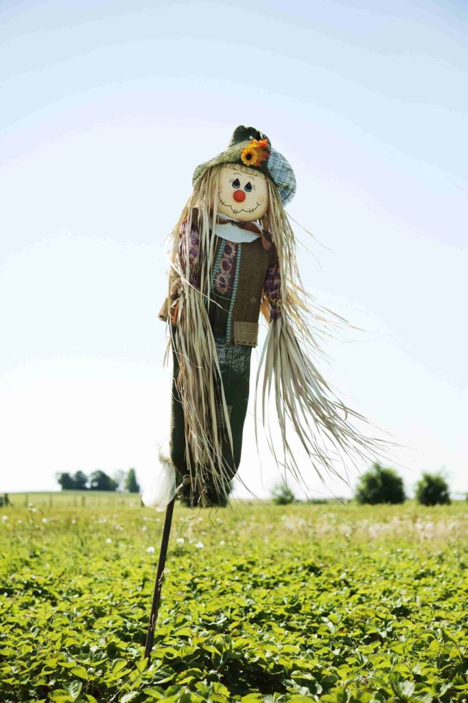 halloween scarecrow