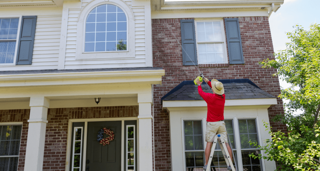 Cleaning Exterior