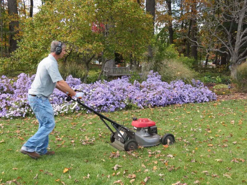 Fall Lawn Prep