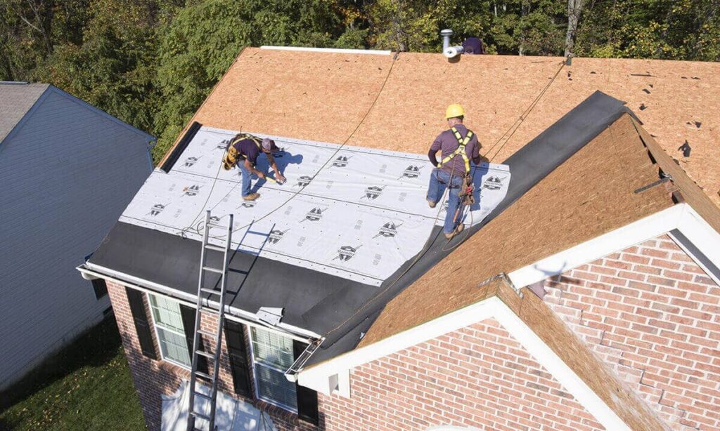 Shingle Roof Replacement