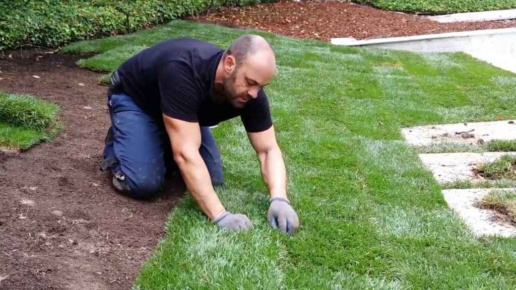 Turf Laying