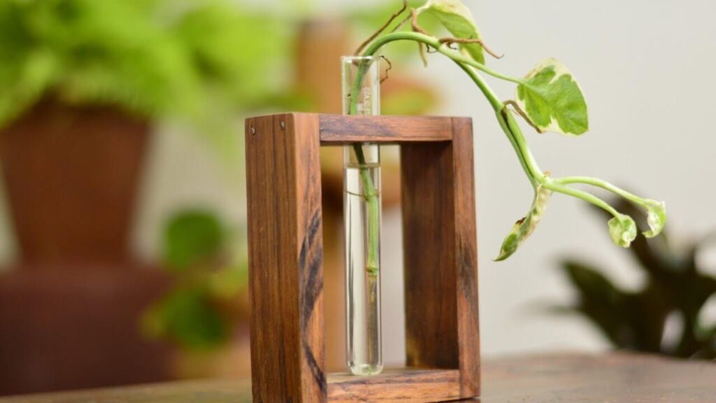 Test Tube Plant Decoration 1