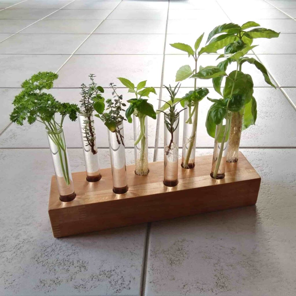 Test Tube Plant Decoration 2