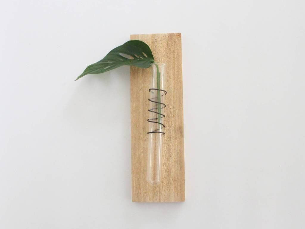 Test Tube Plant Decoration 4