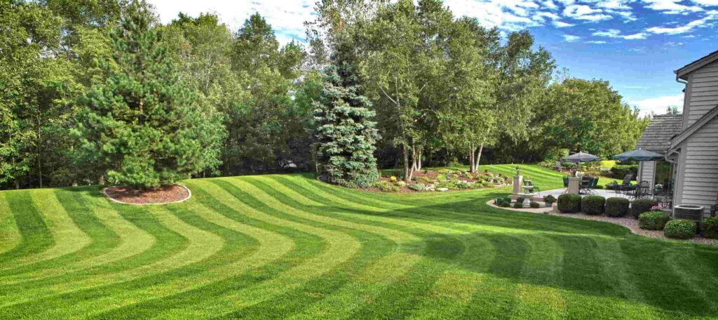 Best Lawn Services