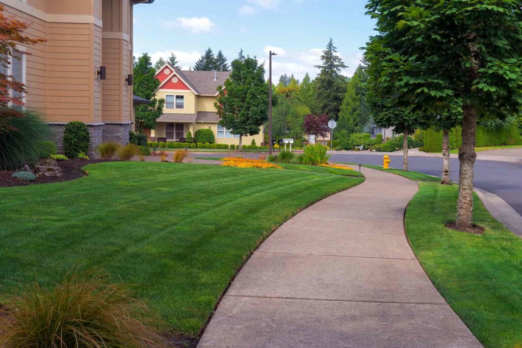 Best Lawn Services