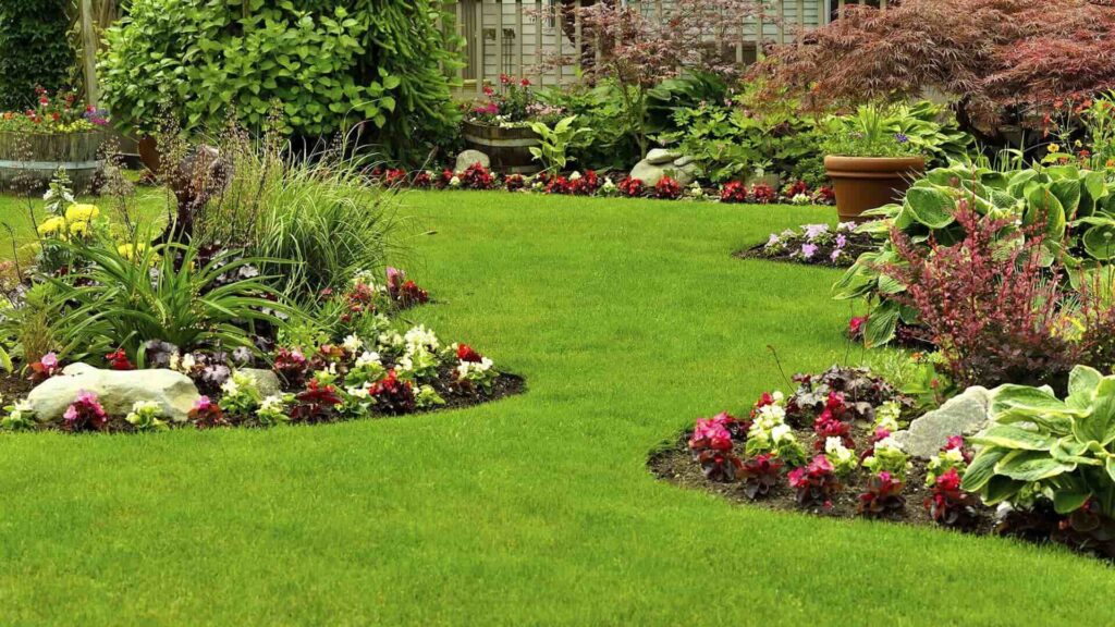 Best Lawn Services