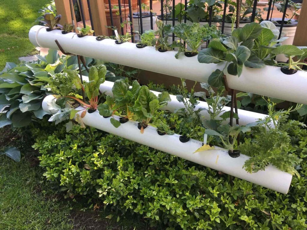 Useful Ideas for the Hydroponic Gardening for Your Garden