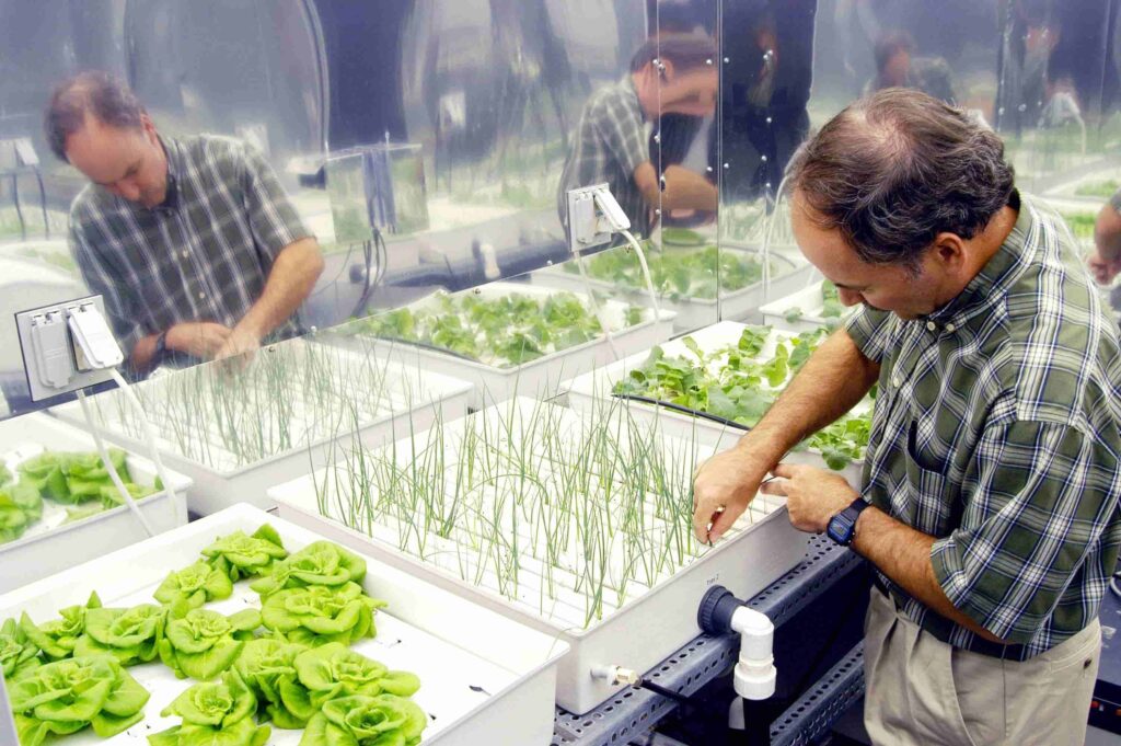 Hydroponic Gardening