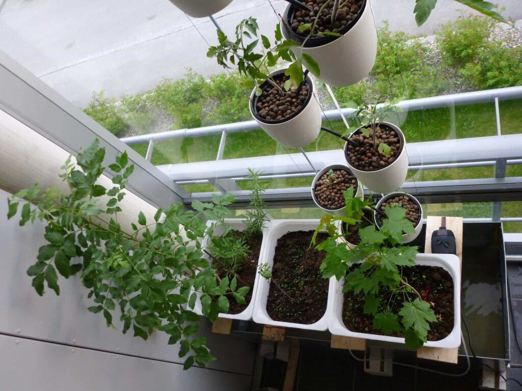 Hydroponic Gardening