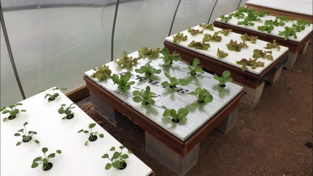 Hydroponic Gardening