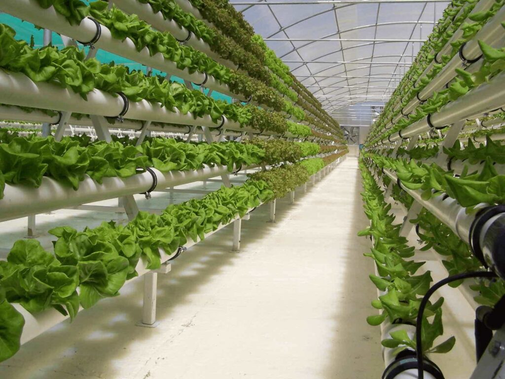 Hydroponic Gardening