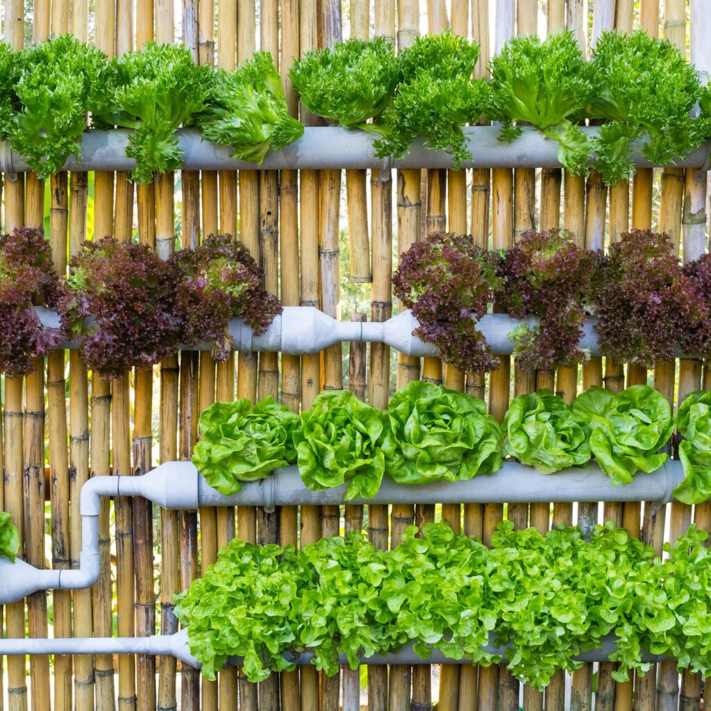  hydroponic garden ideas