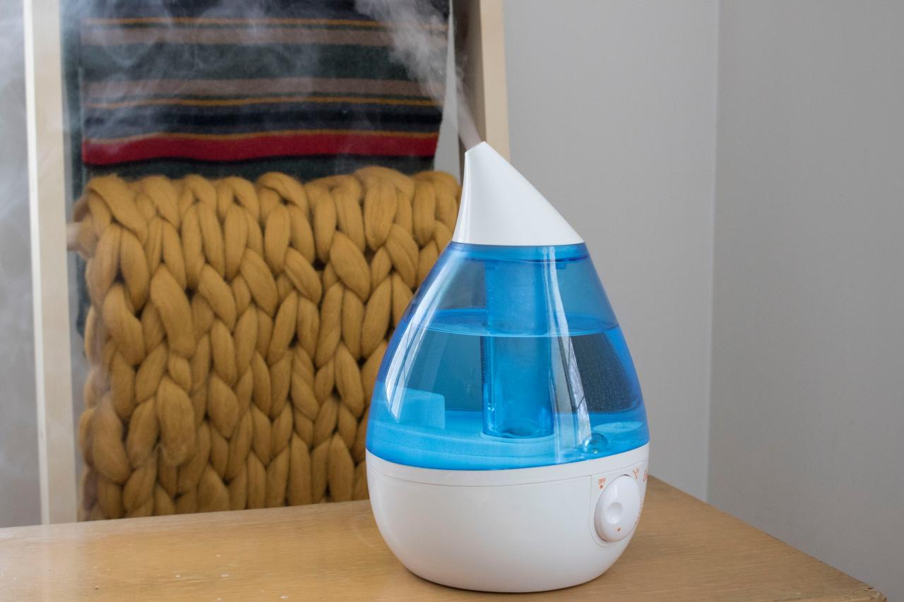 How to Clean Out a Humidifier And the Important Step You Should Take Daily