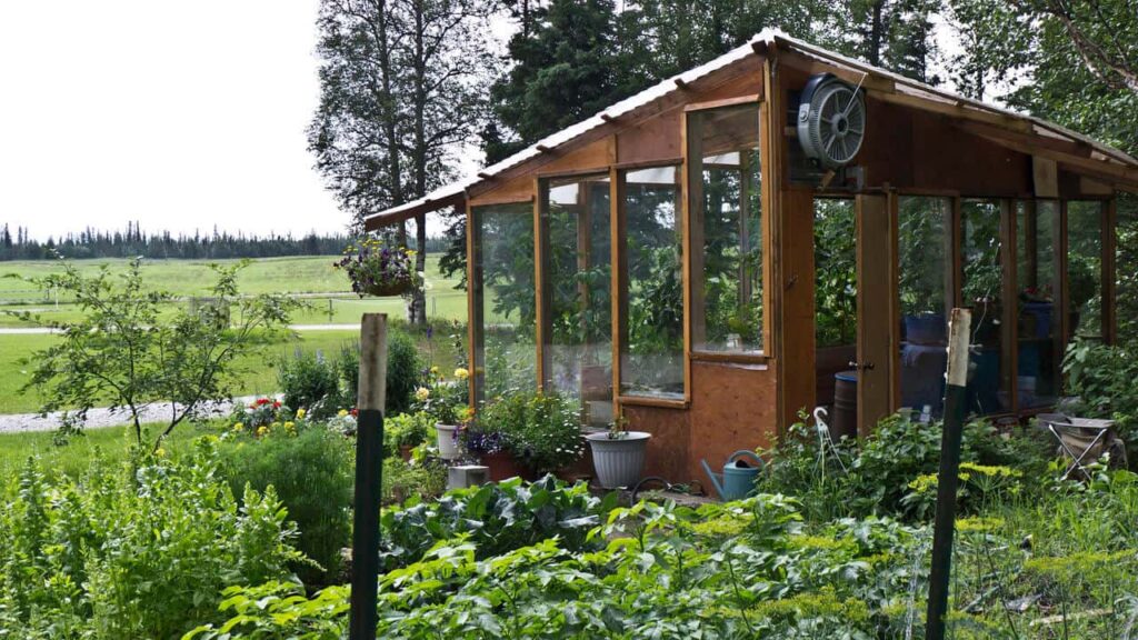 Greenhouse Ideas for Spring