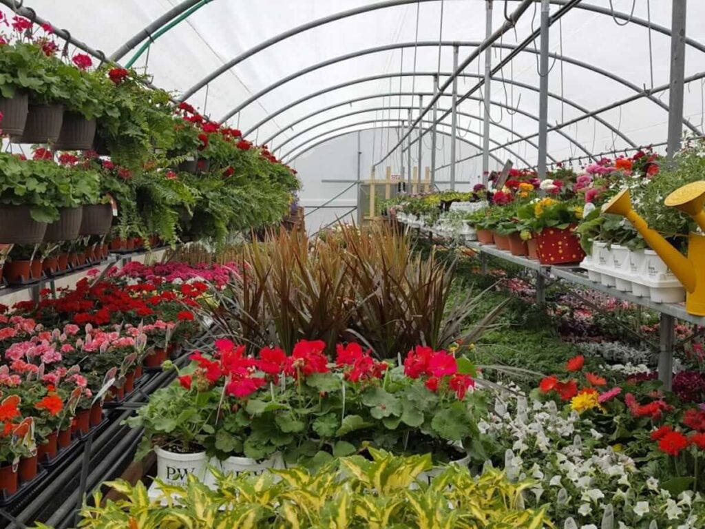 Greenhouses And Gardening 