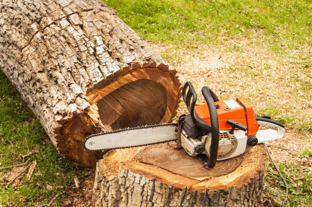 Tree Pruning