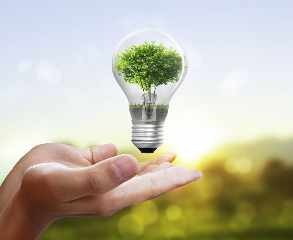 Saving Electricity With Eco-Friendly Solutions