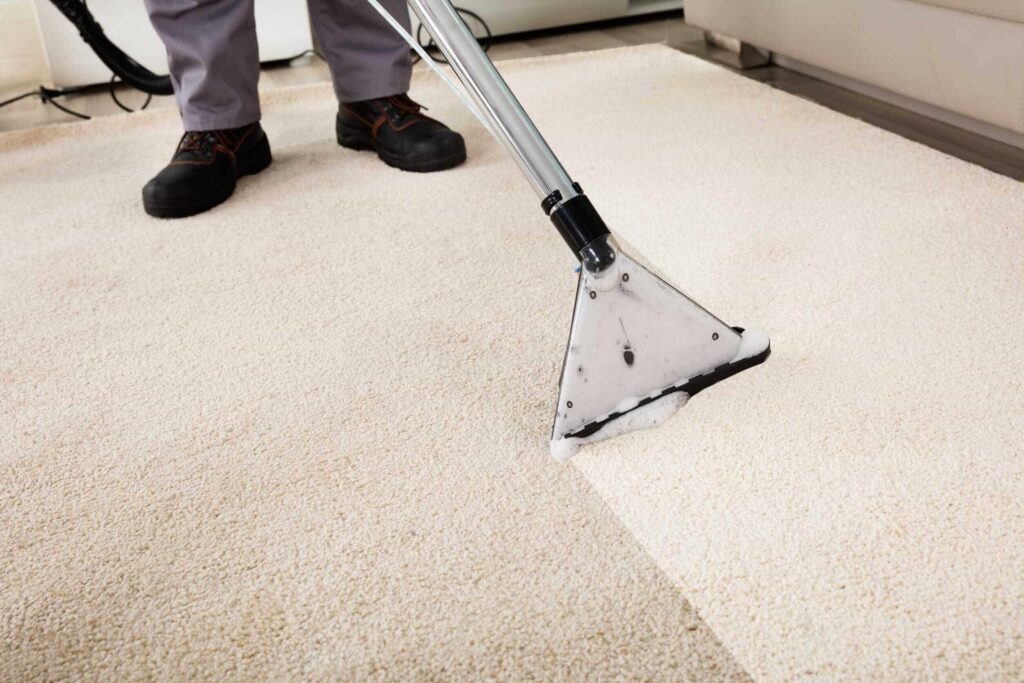  Easy Carpet Cleaning