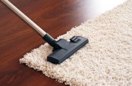 Easy Carpet Cleaning