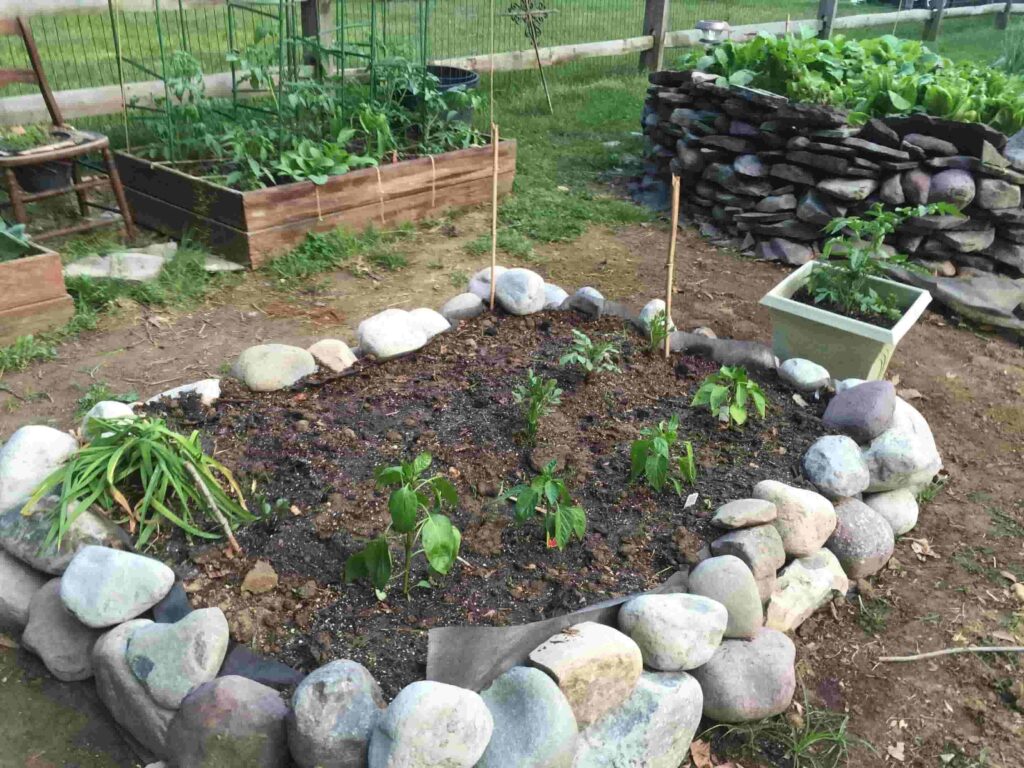 Planter Box 