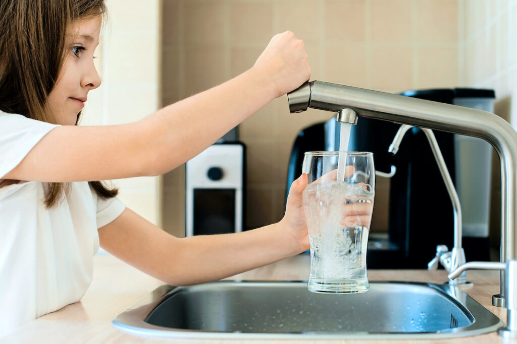 Whole House Water Filters 