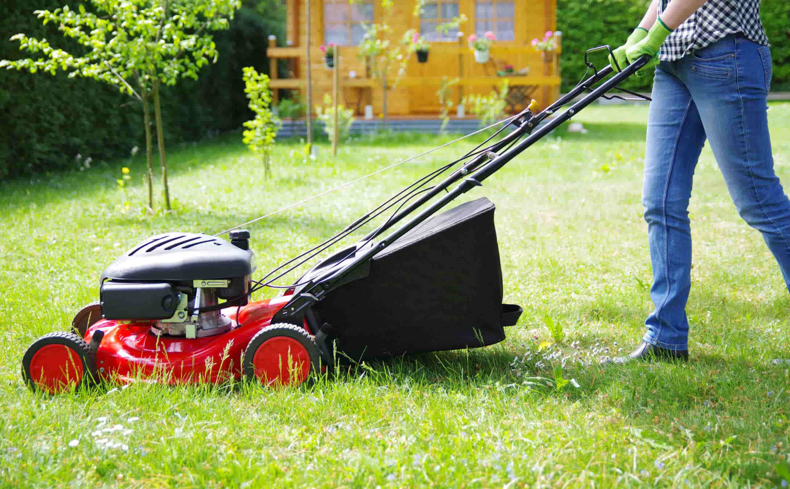 Lawn Mowing Technique