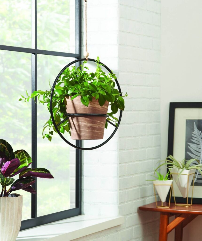 plant stand 