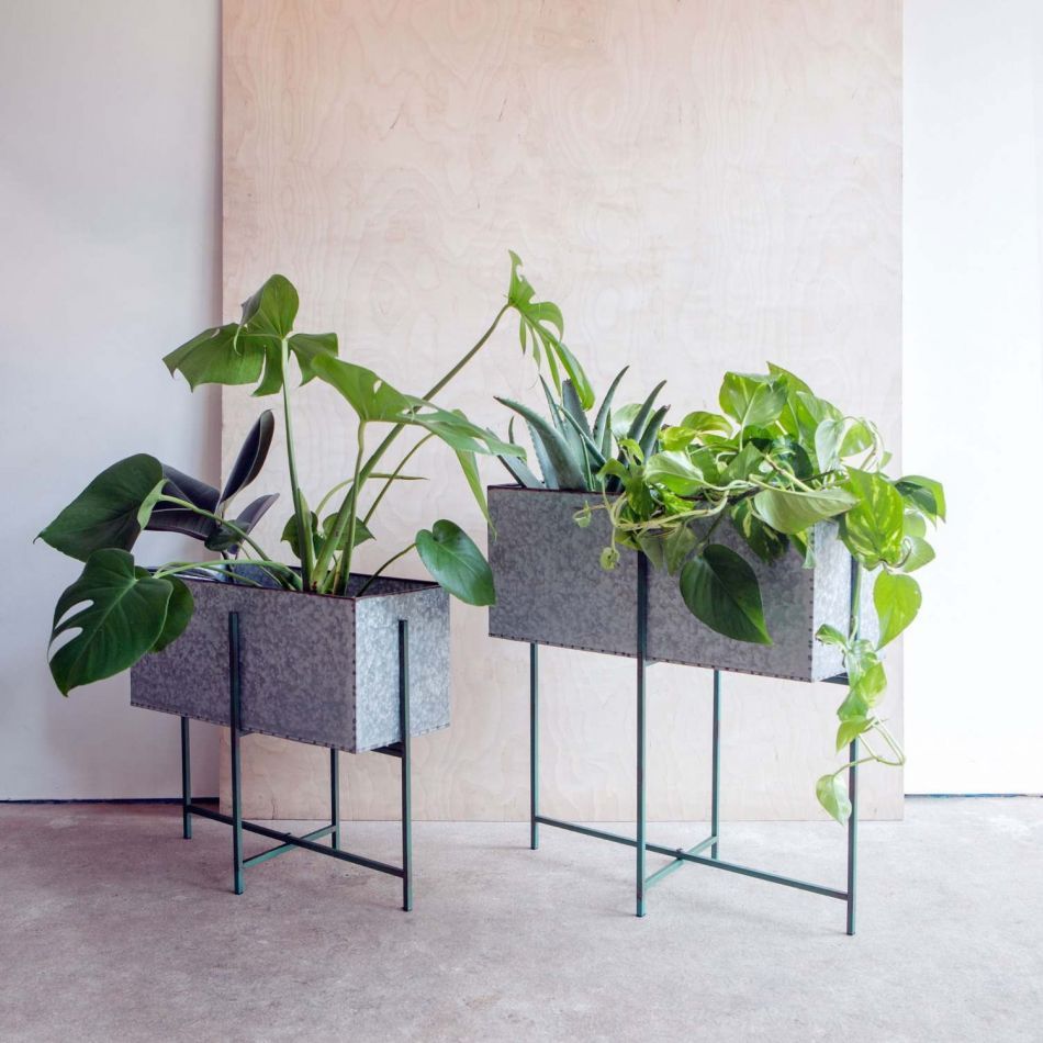 plant stand 