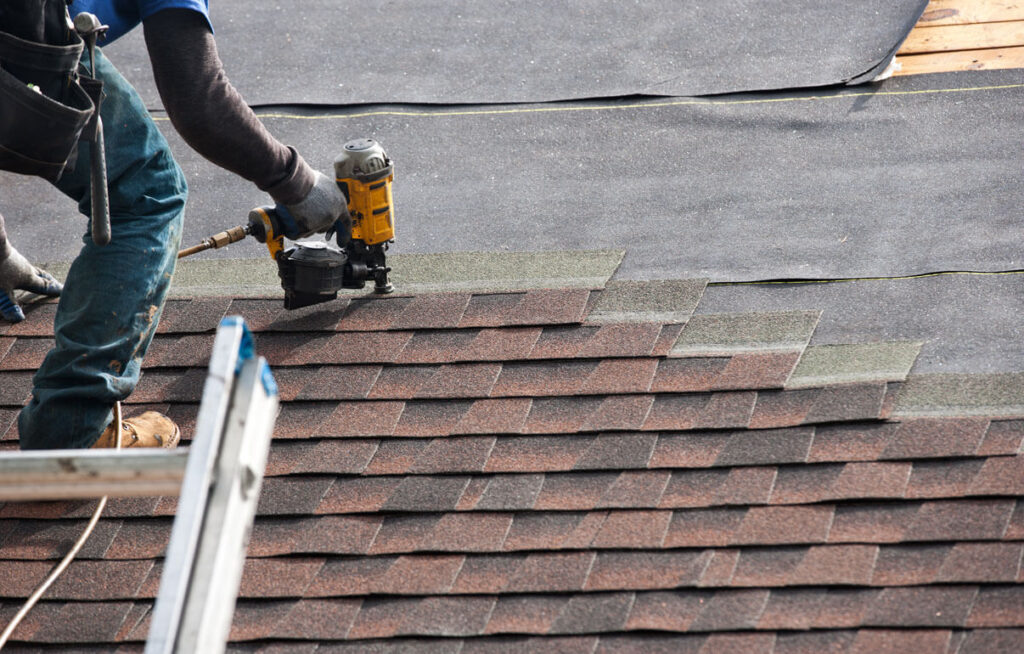 Professional Roofing Services  