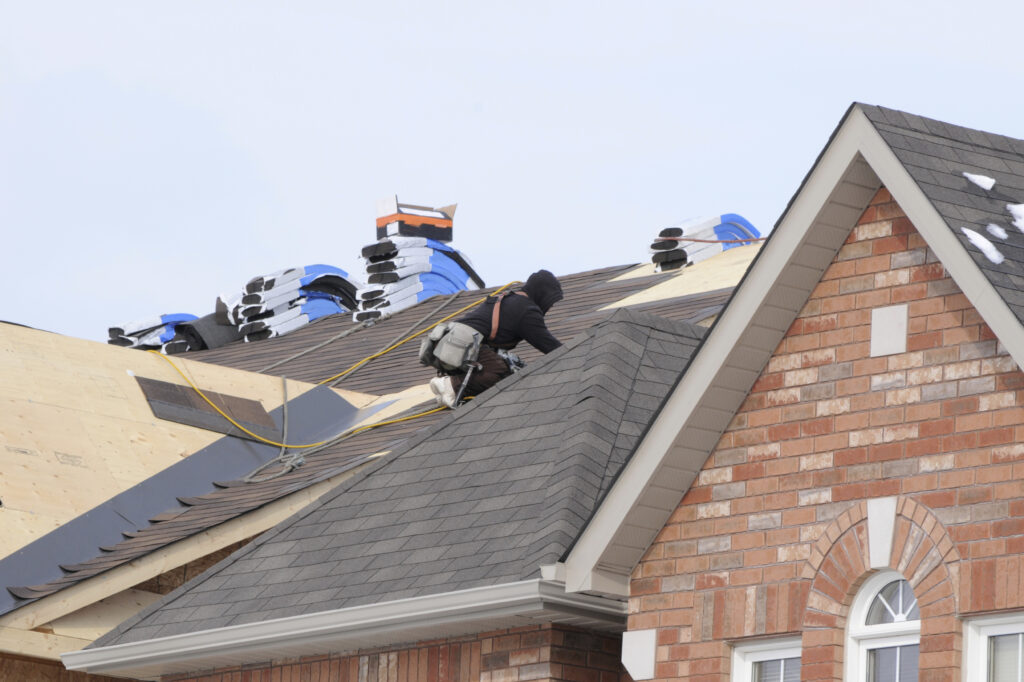 Professional Roofing Services  