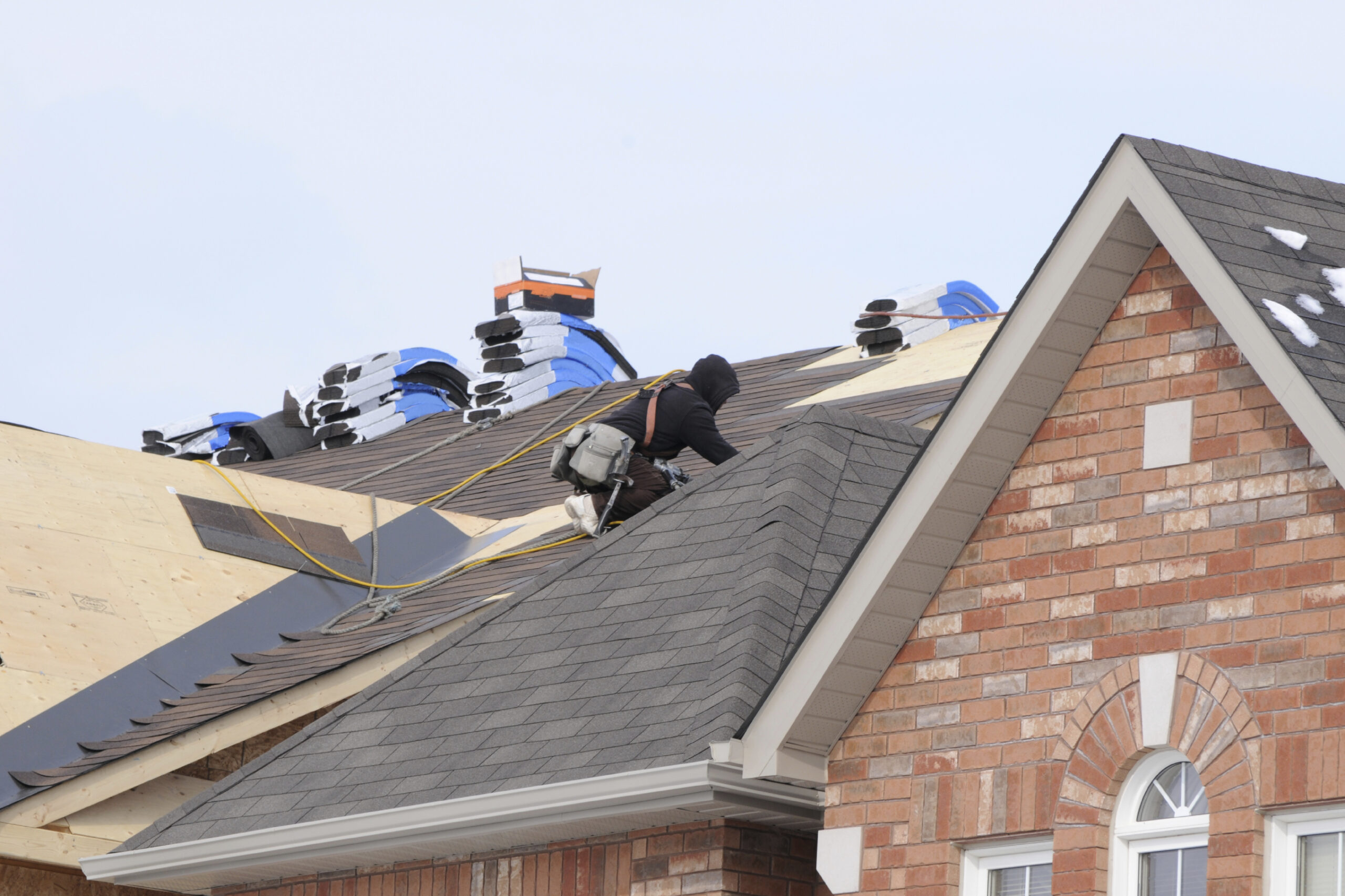 Professional Roofing Services 