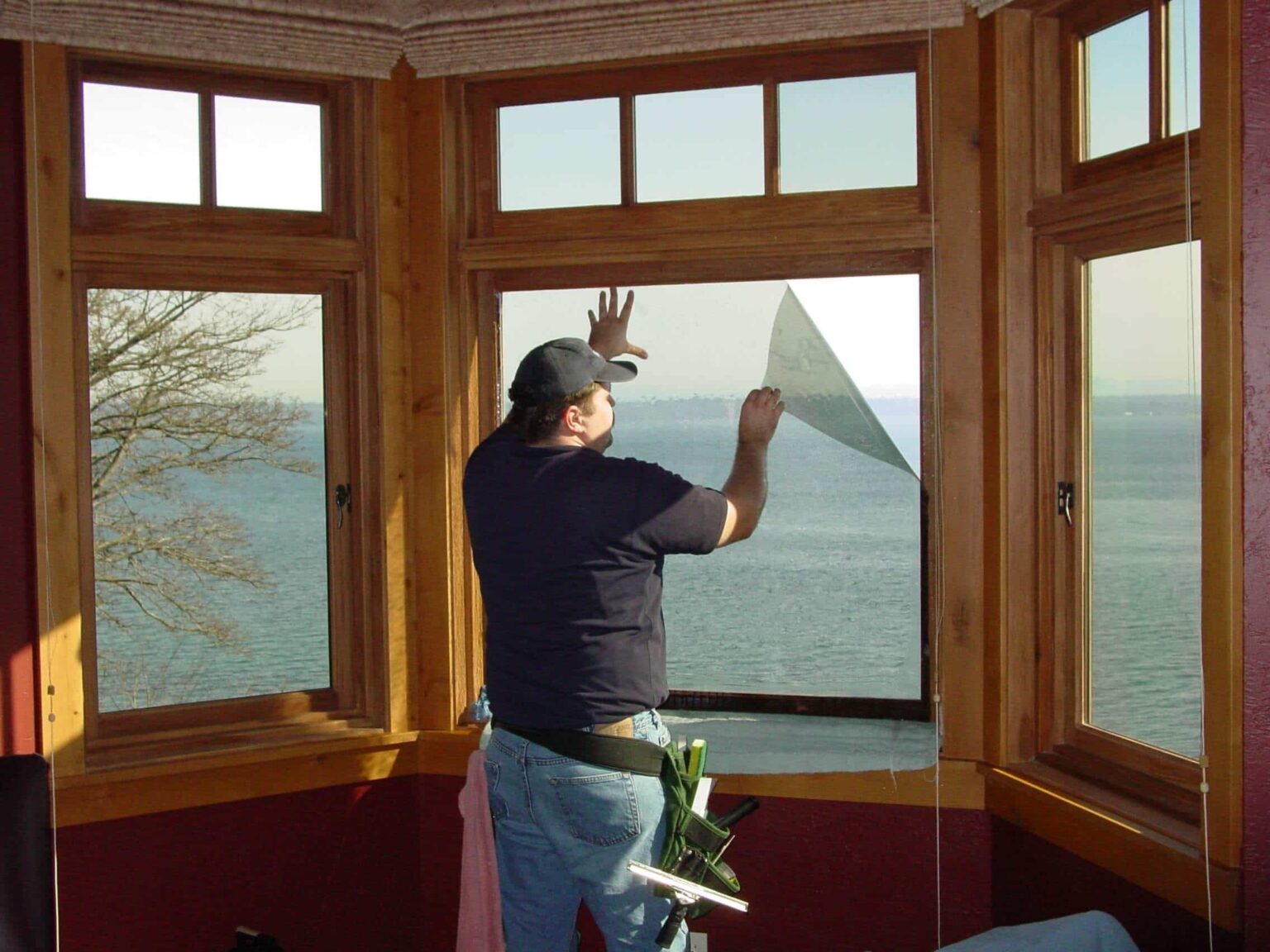 Best 5+ Benefits of Eco Friendly Windows