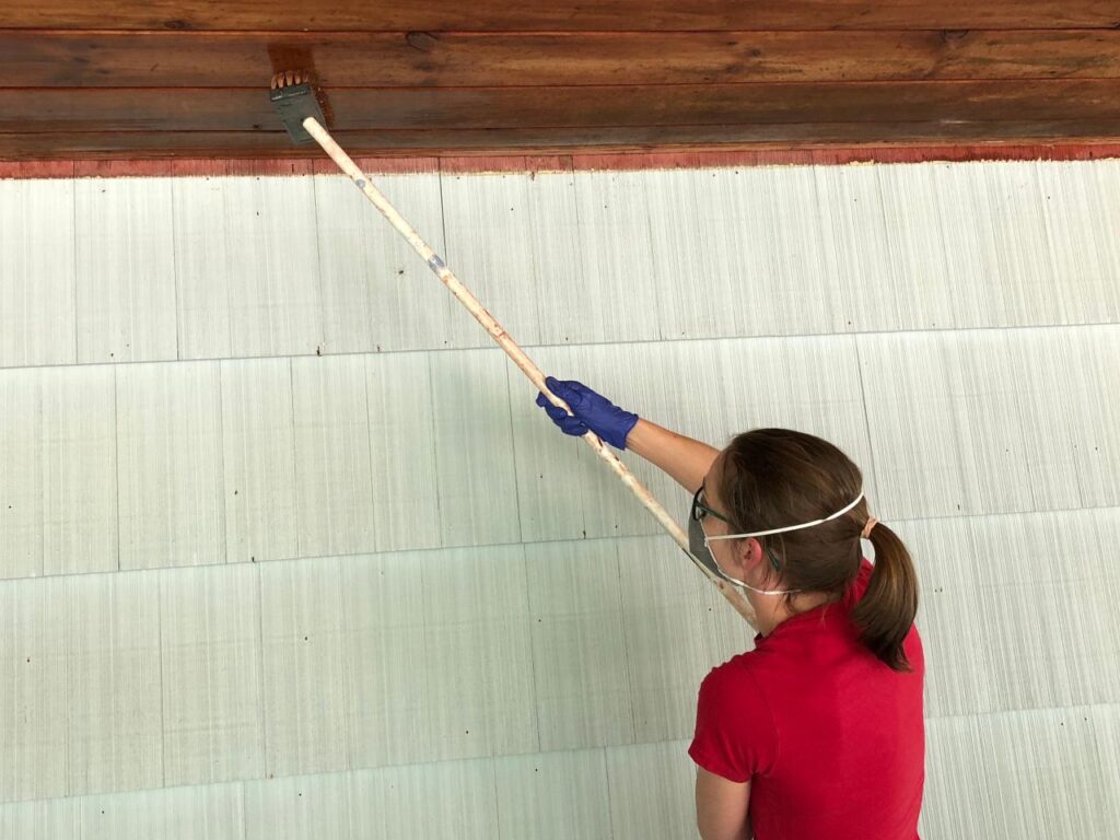 Remove Mould from the Ceiling 