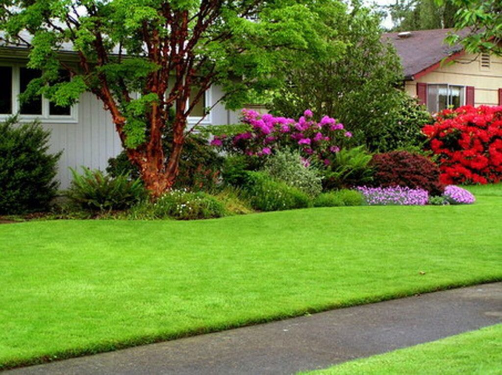 Take Good Care of Your Yard 