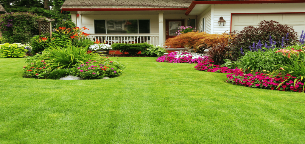 Take Good Care of Your Yard 