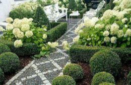 Useful Tips for Remodeling Your Yard