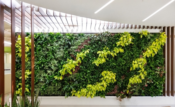 Green Walls 