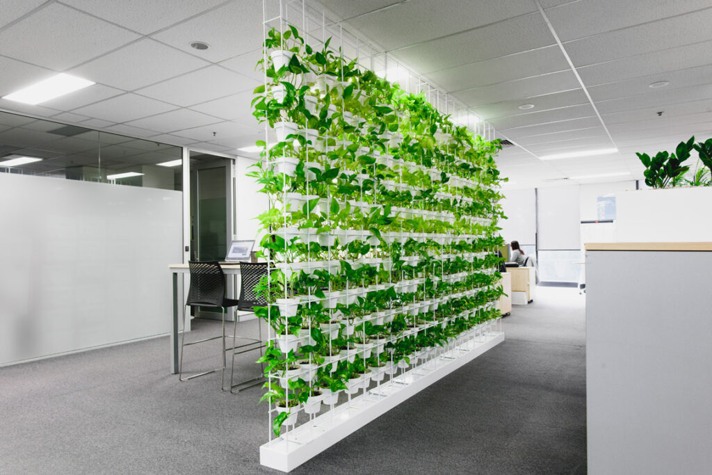 Green Walls 