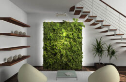 use plant in Interior Design