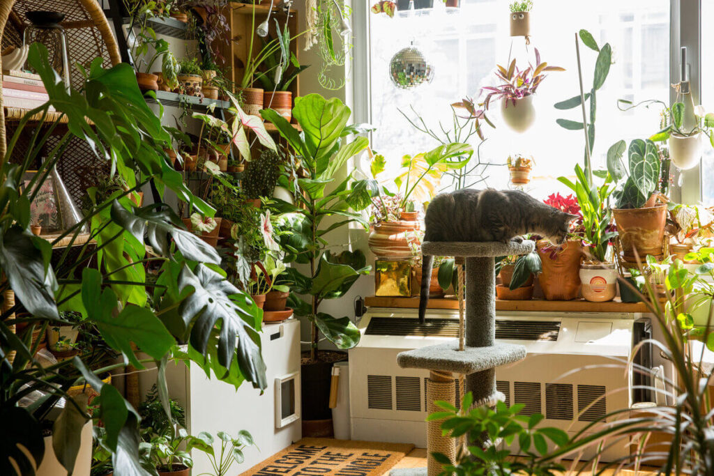 How to Smartly Use Plants Creatively in Interior Design