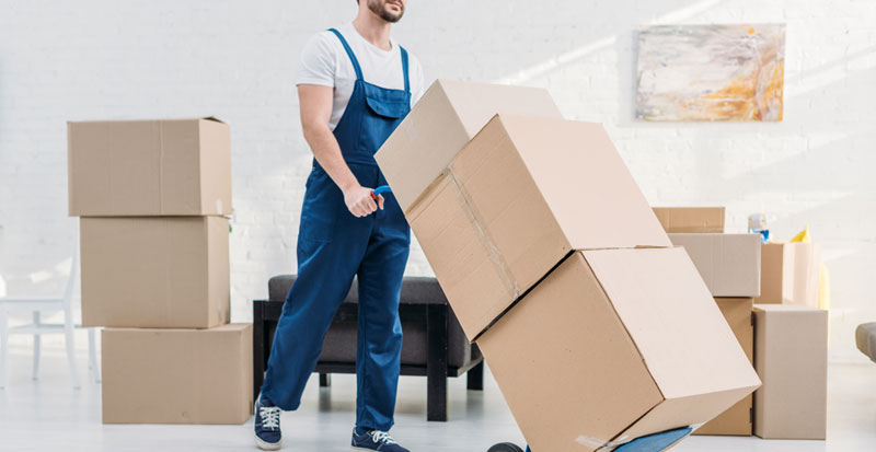 Choose the Best Moving Company 