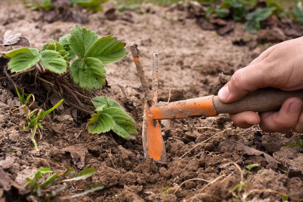 Gardening Tools 