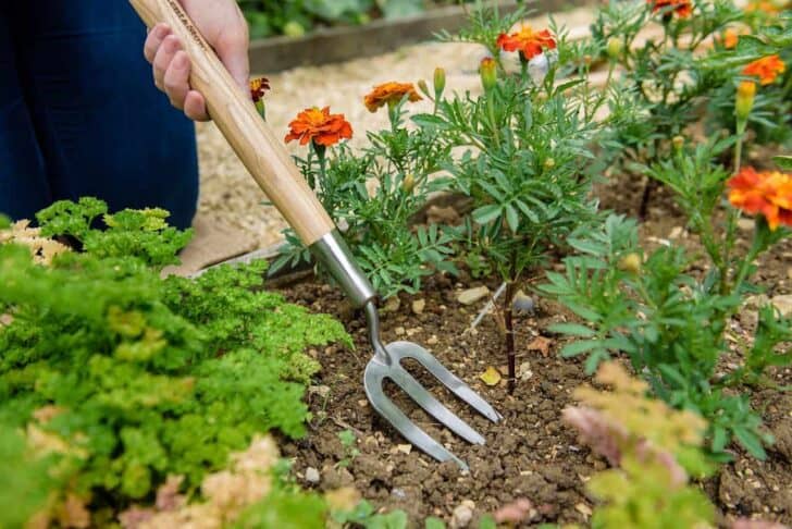 Gardening Tools 