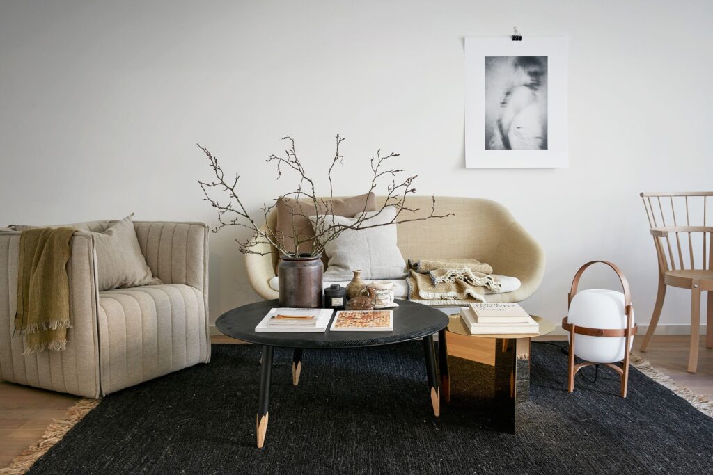 Minimalist Living Room Ideas 