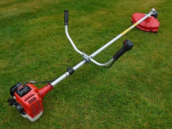 Which strimmer cheap